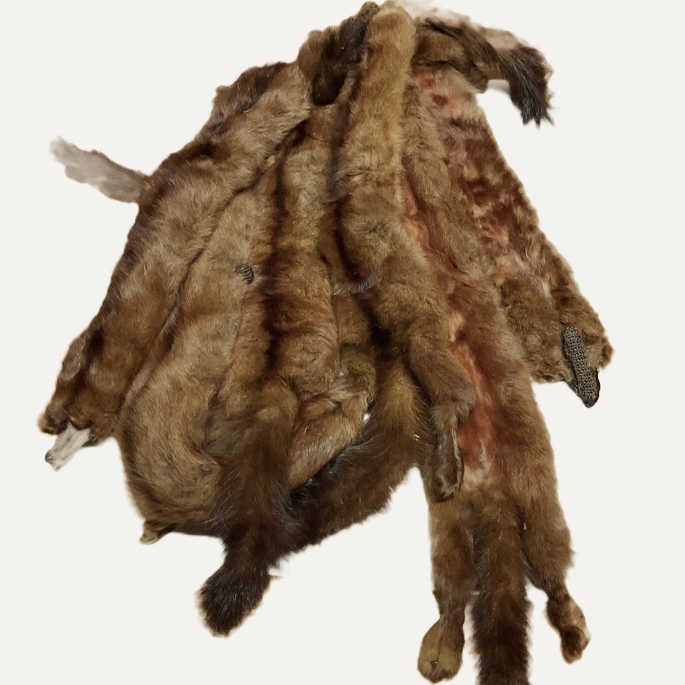 Vintage mink wrap/scarf